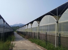 廣州增城小樓
