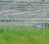 連棟薄膜溫室大棚